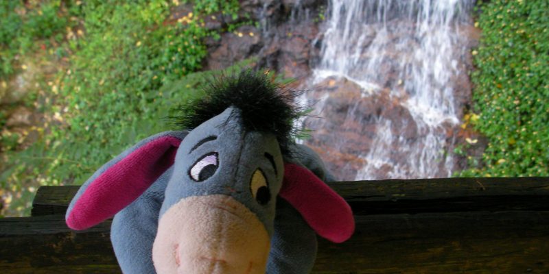 Why You Don't Want Eeyore as Your Marketing Guy!