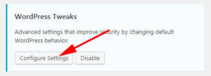iThemes Security WordPress Tweaks
